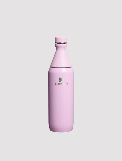 Slim bottle vivt x Stanley
