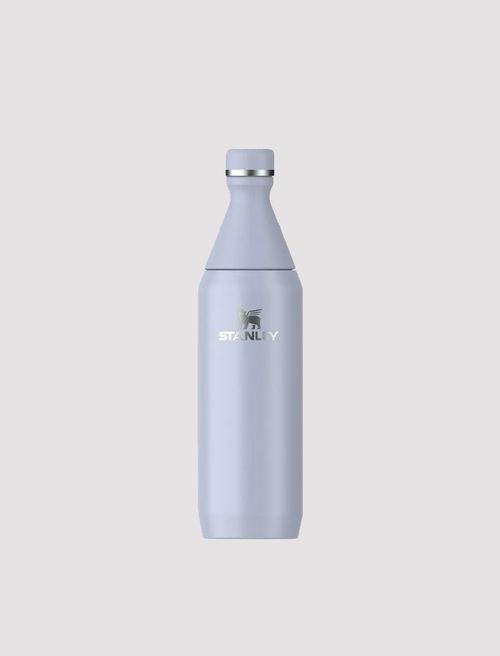 Slim bottle vivt x Stanley
